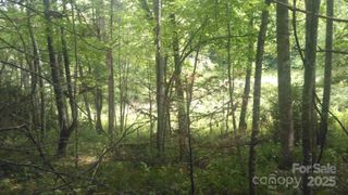 7360 NC 183 Highway, Newland, NC 28657