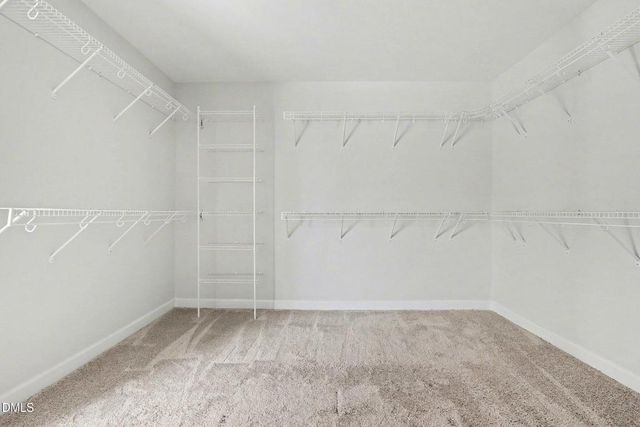 325 Buckhorn Branch Park, Clayton, NC 27520