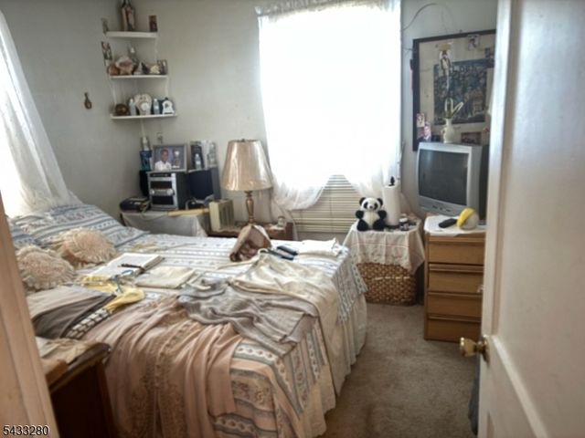 1338 E 2Nd St, Plainfield City, NJ 07062