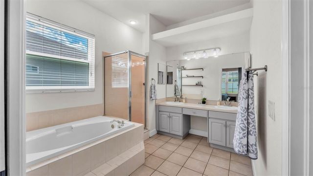 3911 SMOKE RISE COURT, Valrico, FL 33594