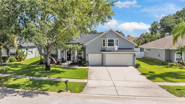 3911 SMOKE RISE COURT, Valrico, FL 33594