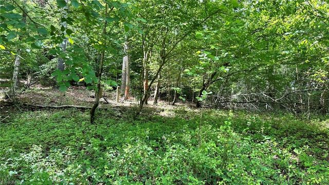 00C High Point Cove, Wilkesboro, NC 28697