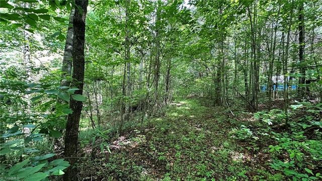 00C High Point Cove, Wilkesboro, NC 28697