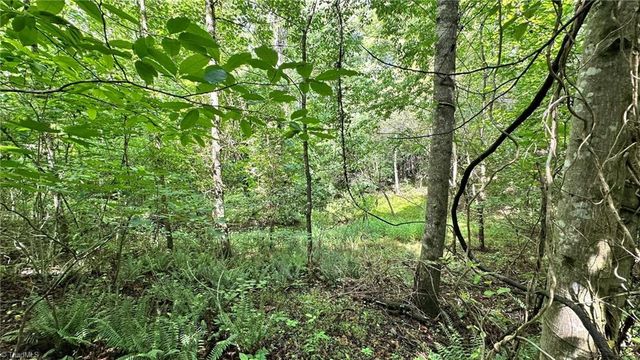 00C High Point Cove, Wilkesboro, NC 28697