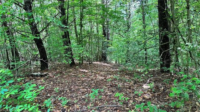 00C High Point Cove, Wilkesboro, NC 28697