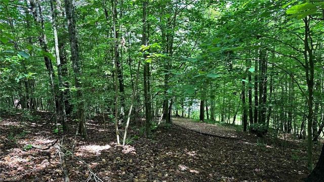 00C High Point Cove, Wilkesboro, NC 28697