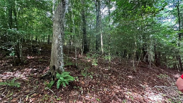 00C High Point Cove, Wilkesboro, NC 28697