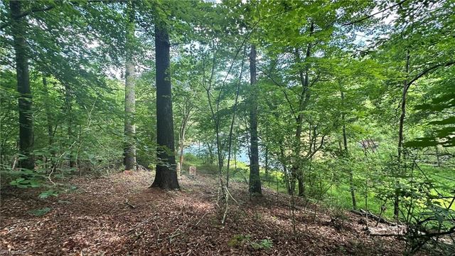 00C High Point Cove, Wilkesboro, NC 28697