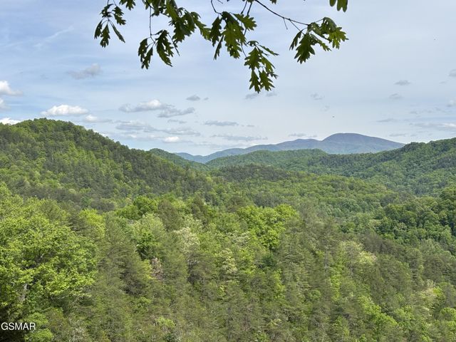 1450 Cabin Way, Del Rio, TN 37727