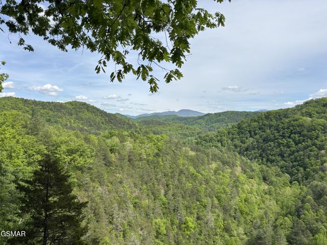 1450 Cabin Way, Del Rio, TN 37727