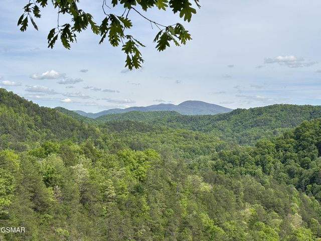 1450 Cabin Way, Del Rio, TN 37727