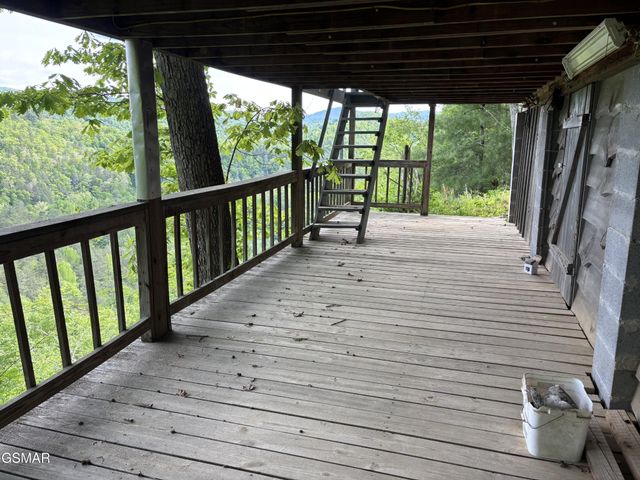 1450 Cabin Way, Del Rio, TN 37727