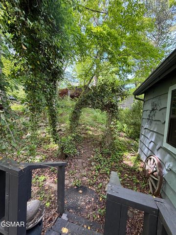 1450 Cabin Way, Del Rio, TN 37727