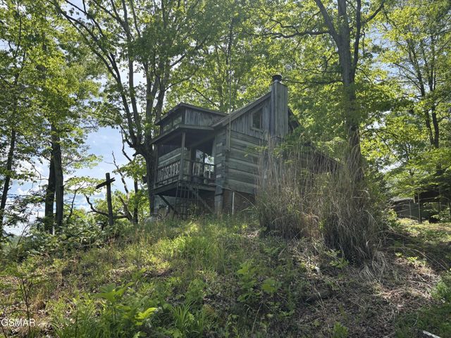 1450 Cabin Way, Del Rio, TN 37727