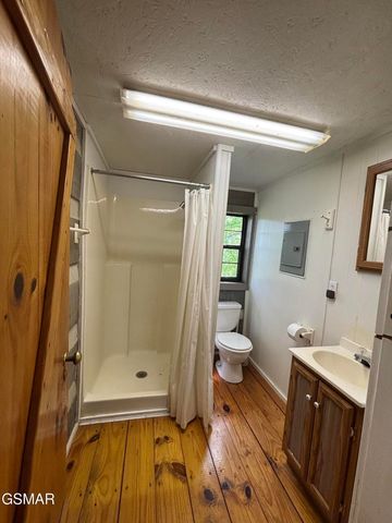 1450 Cabin Way, Del Rio, TN 37727