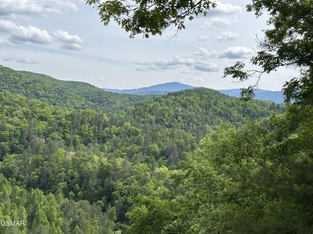 1450 Cabin Way, Del Rio, TN 37727