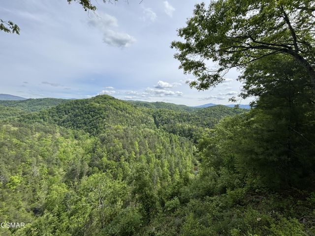 1450 Cabin Way, Del Rio, TN 37727