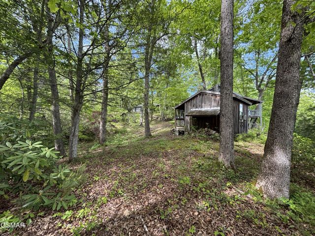 1450 Cabin Way, Del Rio, TN 37727