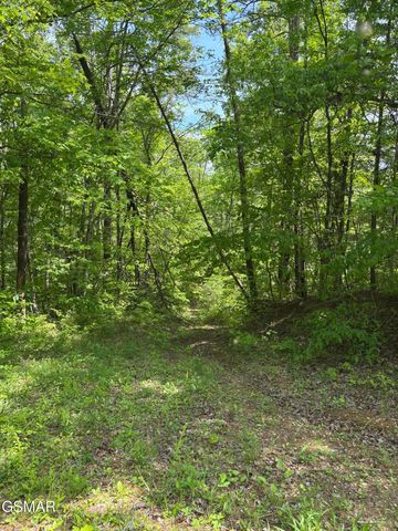 1450 Cabin Way, Del Rio, TN 37727