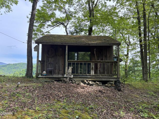 1450 Cabin Way, Del Rio, TN 37727