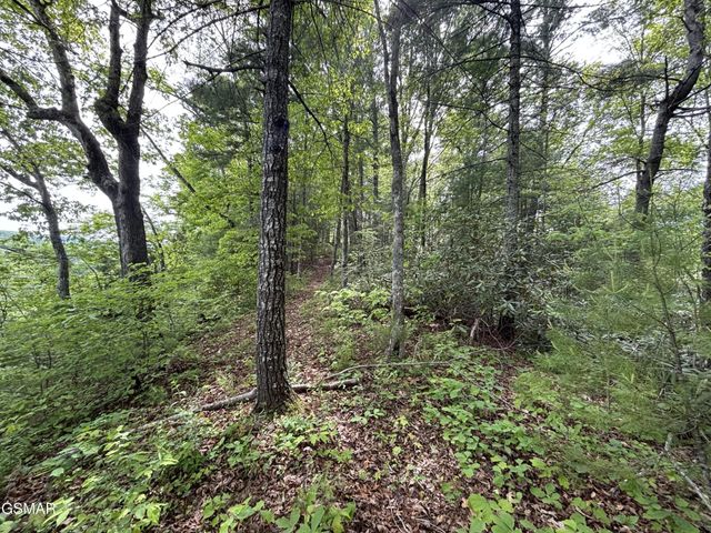 1450 Cabin Way, Del Rio, TN 37727