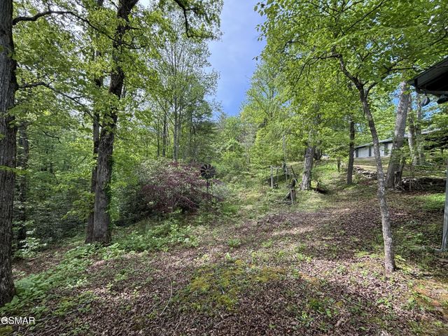 1450 Cabin Way, Del Rio, TN 37727