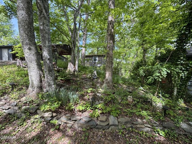 1450 Cabin Way, Del Rio, TN 37727