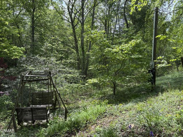 1450 Cabin Way, Del Rio, TN 37727