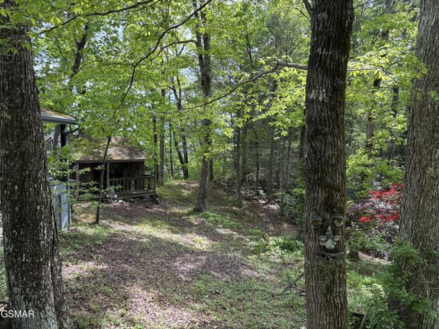 1450 Cabin Way, Del Rio, TN 37727