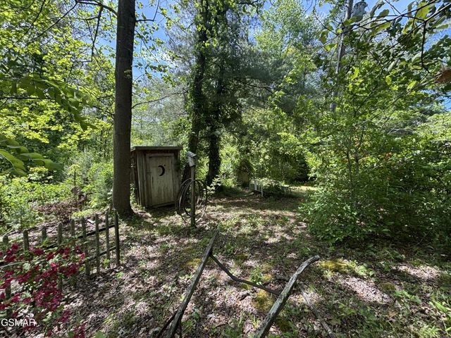1450 Cabin Way, Del Rio, TN 37727