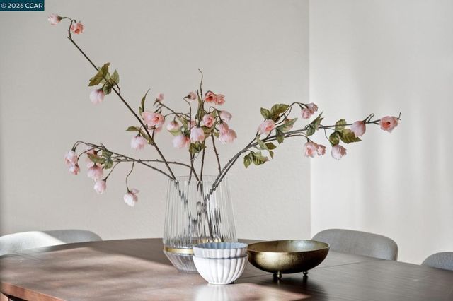 11 Bradley Ave, Walnut Creek, CA 94596