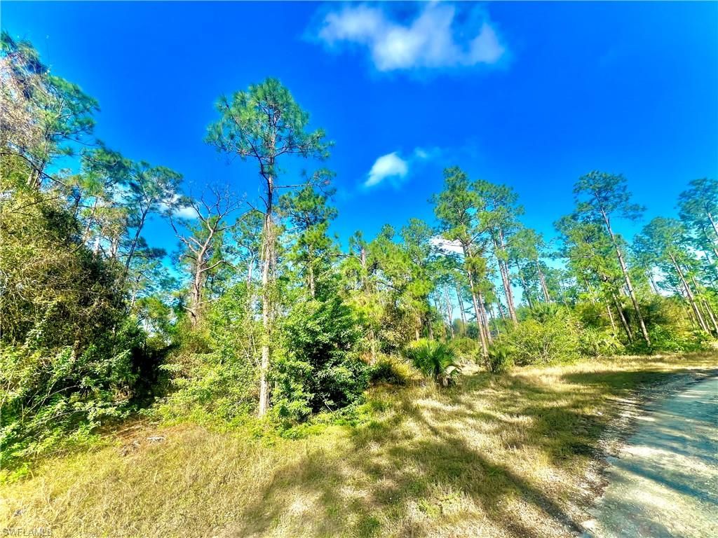 124 Nassau AVE, LEHIGH ACRES, FL 33974 — exterior