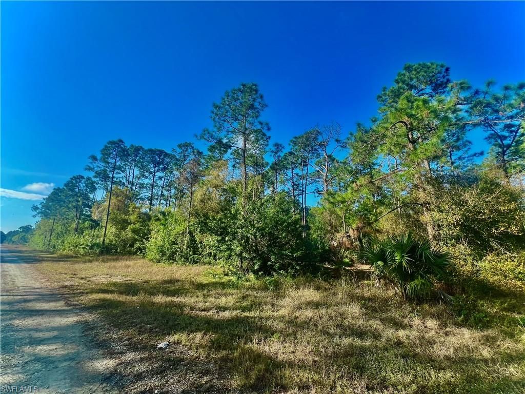 124 Nassau AVE, LEHIGH ACRES, FL 33974 — photo 2