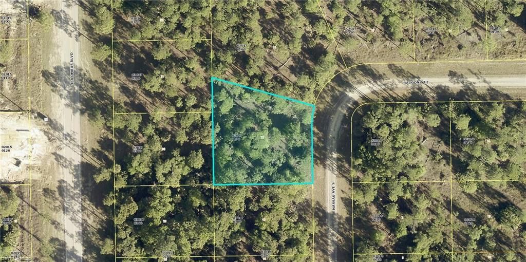 124 Nassau AVE, LEHIGH ACRES, FL 33974 — photo 4