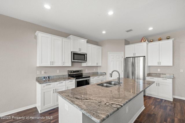 446 Alpine Thistle Drive, Brooksville, FL 34604