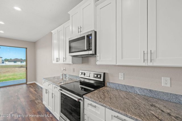 446 Alpine Thistle Drive, Brooksville, FL 34604