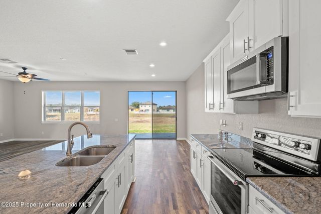 446 Alpine Thistle Drive, Brooksville, FL 34604