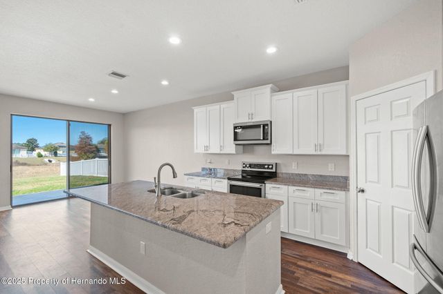 446 Alpine Thistle Drive, Brooksville, FL 34604