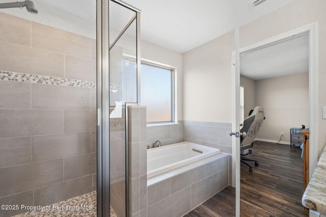 446 Alpine Thistle Drive, Brooksville, FL 34604