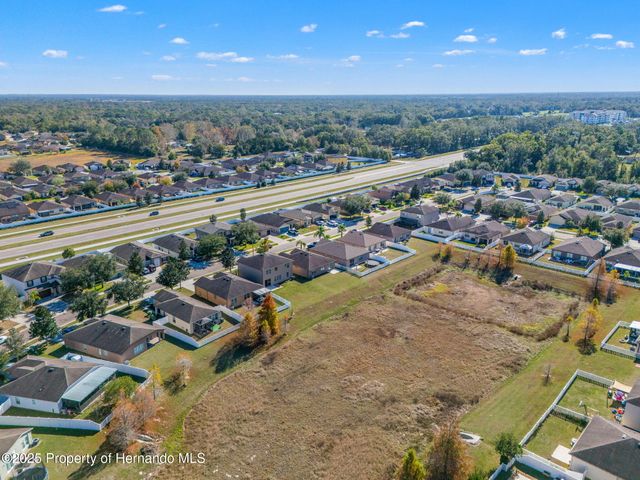 446 Alpine Thistle Drive, Brooksville, FL 34604