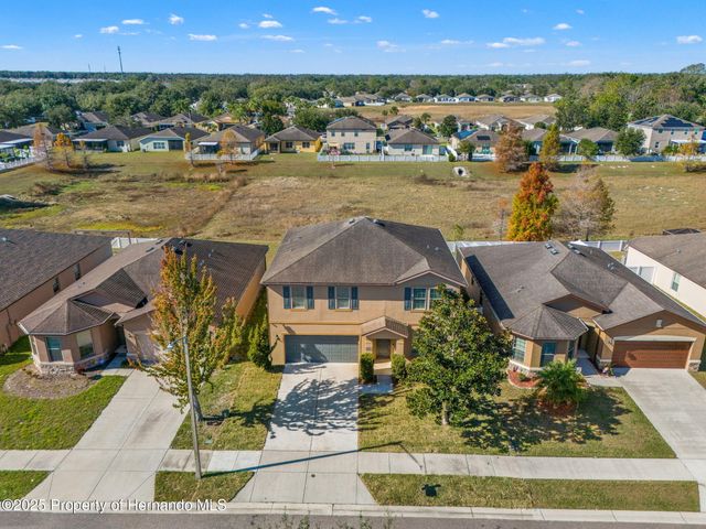 446 Alpine Thistle Drive, Brooksville, FL 34604