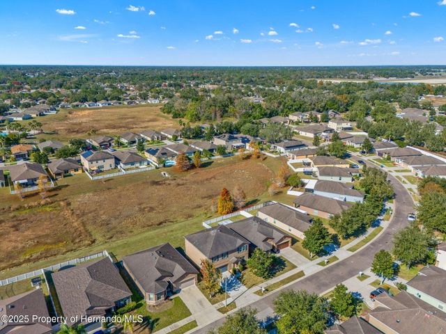 446 Alpine Thistle Drive, Brooksville, FL 34604