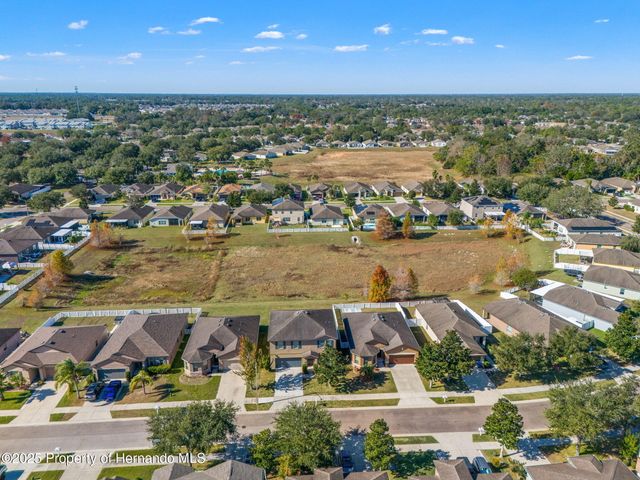 446 Alpine Thistle Drive, Brooksville, FL 34604