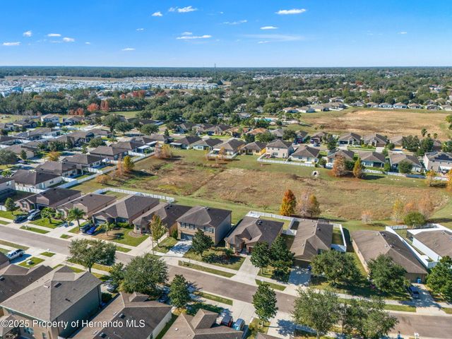 446 Alpine Thistle Drive, Brooksville, FL 34604