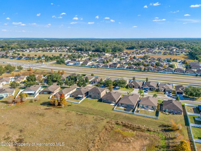 446 Alpine Thistle Drive, Brooksville, FL 34604