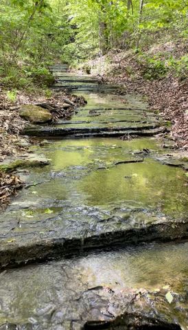 465 James Zimmerman Rd, Hampshire, TN 38461