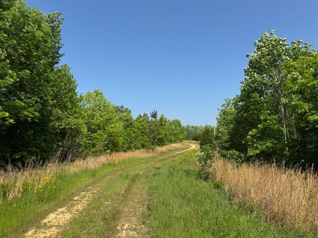 465 James Zimmerman Rd, Hampshire, TN 38461