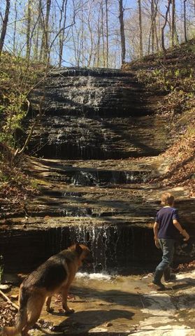 465 James Zimmerman Rd, Hampshire, TN 38461