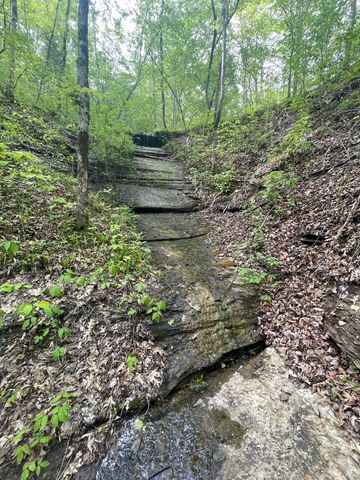 465 James Zimmerman Rd, Hampshire, TN 38461