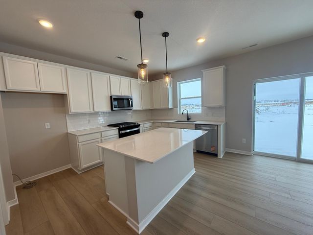 15032 Athenry Bay, Rosemount, MN 55068